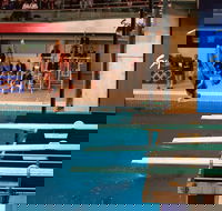 Dive Into History at Sydney Olympic Park Aquatic Centre - Phillip Island Accommodation