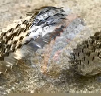 Eclectopia Gifts and Specialty Homewares - Phillip Island Accommodation