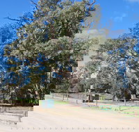 Giant Gum Tree - Phillip Island Accommodation