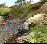 Gold Panning Deep Creek - Phillip Island Accommodation