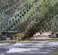 Goonoowigall State Conservation Area - Phillip Island Accommodation