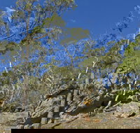 Green track - Phillip Island Accommodation