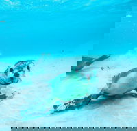 Jurien Bay - Phillip Island Accommodation