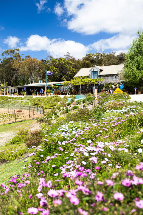 Kate's Berry Farm - Phillip Island Accommodation 0