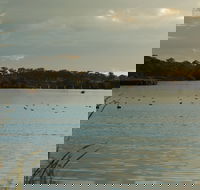 Lake Inverell Reserve - Phillip Island Accommodation