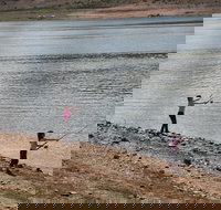 Lake Wyangala - Phillip Island Accommodation