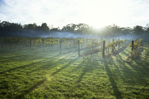 Leeton - Phillip Island Accommodation 1