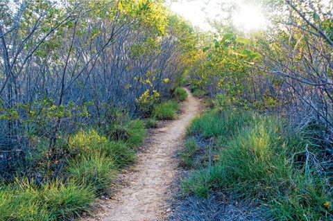 Minerva Hills National Park - Phillip Island Accommodation 2