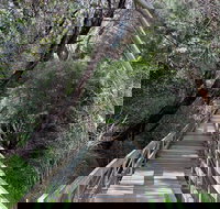 Mulwaree River Walkway - Phillip Island Accommodation