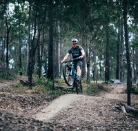 Nerang Mountain Bike Trails