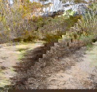 Red Rocks trig walking track - Phillip Island Accommodation