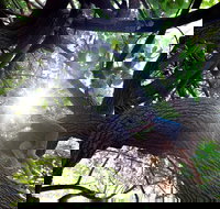 Scarborough Beach Park - Phillip Island Accommodation