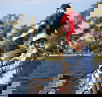 Shepparton - Phillip Island Accommodation