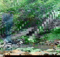 Tamborine National Park - Phillip Island Accommodation