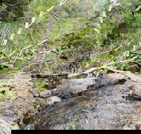 The Gap - Phillip Island Accommodation