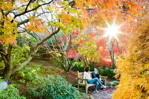 The Blue Mountains Botanic Garden, Mount Tomah - Phillip Island Accommodation 0