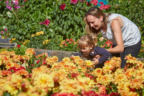 The Blue Mountains Botanic Garden, Mount Tomah - Phillip Island Accommodation 1