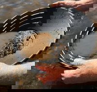 Tuena Panning for Gold - Phillip Island Accommodation