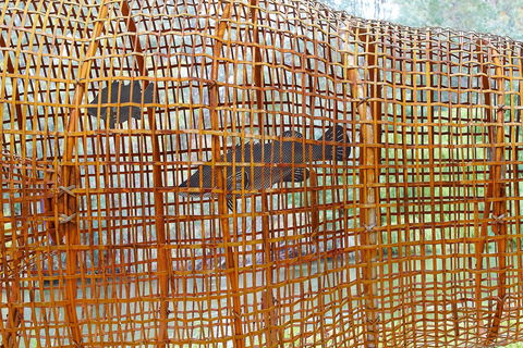 Wagirra Trail And Yindyamarra Sculpture Walk - Phillip Island Accommodation 2