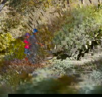 Australian Arid Lands Botanic Garden - Phillip Island Accommodation