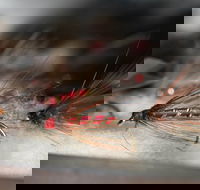 Australian Fly Fishing Museum - Phillip Island Accommodation