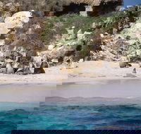 Australian Sea Lions - Phillip Island Accommodation