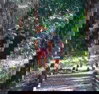 Banksia Track Burrum Coast National Park - Phillip Island Accommodation