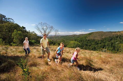 Bunya Mountains National Park - Phillip Island Accommodation 2