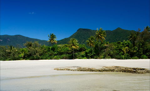 Cow Bay - Phillip Island Accommodation 1