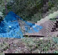 England Creek Bush Camp - Phillip Island Accommodation