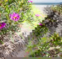 Fort Bribie - Phillip Island Accommodation