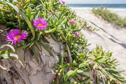 Fort Bribie - Phillip Island Accommodation 0