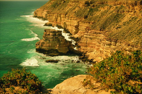 Island Rock And Natural Bridge - Phillip Island Accommodation 0