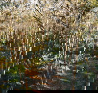 Leeuwin-Naturaliste National Park - Cowaramup - Phillip Island Accommodation