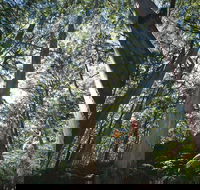 Leeuwin-Naturaliste National Park - Leeuwin - Phillip Island Accommodation