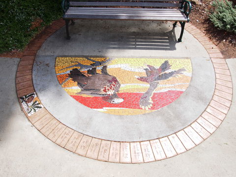 Mosaic Pathway (WASS) - Phillip Island Accommodation 2