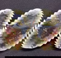 Mount Hay Gemstone Tourist Park - Phillip Island Accommodation