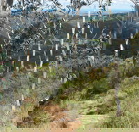 Mount Towac Walk - Phillip Island Accommodation