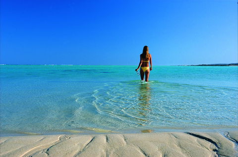 Ningaloo - Phillip Island Accommodation 1