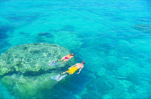 Ningaloo - Phillip Island Accommodation 2