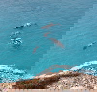 Nullarbor National Park - Phillip Island Accommodation