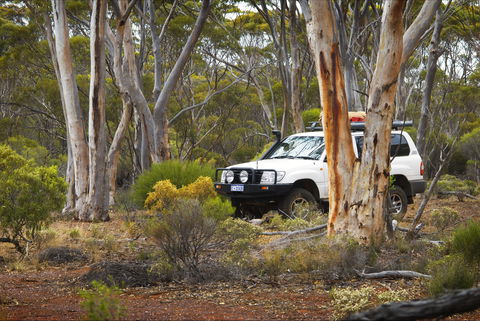 Ravensthorpe Range - Phillip Island Accommodation 0
