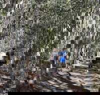 Six Mile Creek Bluff Lookout and Little White Rock Trails - Phillip Island Accommodation