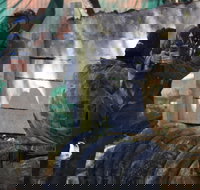 Skirmish Sunshine Coast Outdoor Paintball - Phillip Island Accommodation