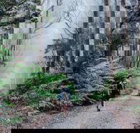 The Corn Trail Walking Track - Phillip Island Accommodation