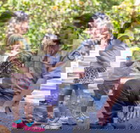 Walkabout Creek Discovery Centre - Phillip Island Accommodation