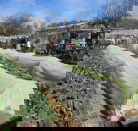 Wynlen House Tour a Unique Urban Regenerative Farm and Market Garden - Phillip Island Accommodation