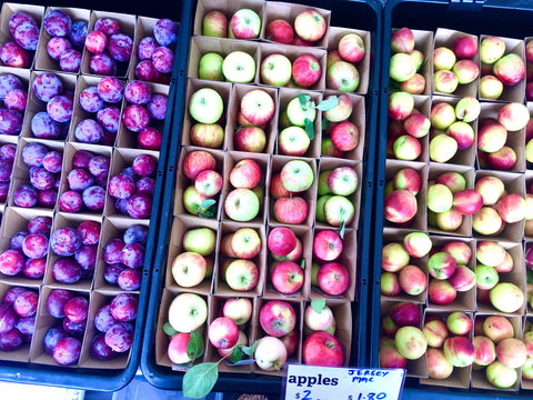 Adelaide Showground Farmers' Market - Phillip Island Accommodation 0