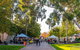 Adelaide Showground Farmers' Market - thumb 2