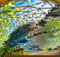 Brisbane Botanic Gardens Mount Coot-tha - Phillip Island Accommodation